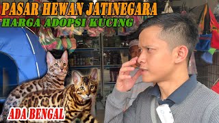VLOG HENDRA HERMAWAN | harga adopsi kucing di pasar hewan jatinegara jakarta
