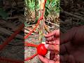 Wood crafts creative skills! #trap