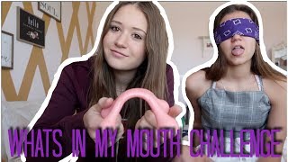 What&#39;s In My Mouth Challenge | Riley Lewis