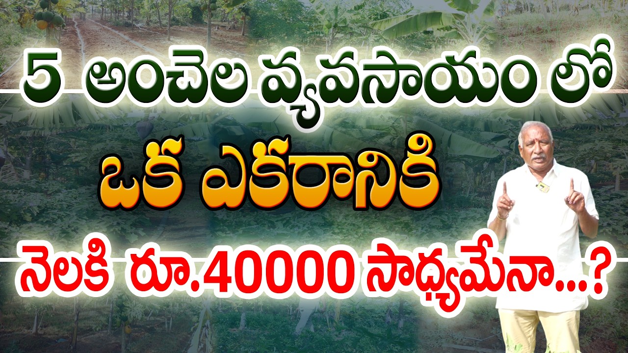 60 x 60 సాగు మోడల్ | ఒక ఎకరం లో  నెలకి జీతంలా రూ.40 వేల ఆదాయం | Rajvardhan Reddy