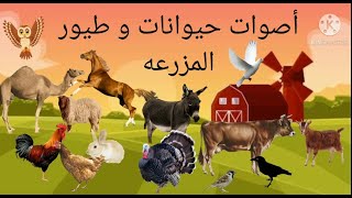 animals video-cow video-aniamls names - farm animals sounds - تعليم اسماء حيوانات المزرعة مع اصواتهم