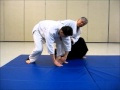 Instruction on Mae Ukemi (forward roll) with Unbendable Arm