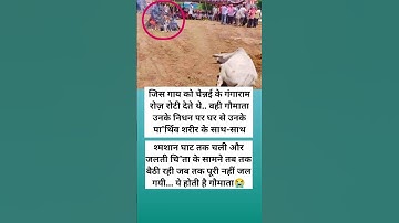 #nivetadhingramusic #marriageproposals