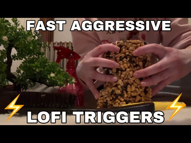 ASMR FAST AGGRESSIVE LOFI TRIGGERS | No Talking
