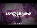 Montagem Miau Tik Tok Version Lenar Edit Audio