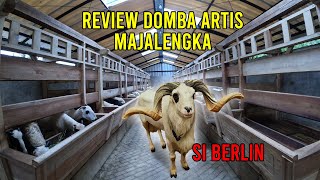 Review Kandang Domba Mewah Si Berlin Artis Majalengka | PDP S THIAGARAJAH