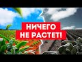 Что делать когда Земля в Крыму не плодородна и ничего не растет. Ретрит Центр Игоря Будникова
