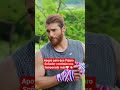 Apoya para que Pájaro Soñador continúe una temporada más♥️👈
