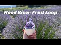 Hood River Fruit Loop | July 2024 | silent vlog