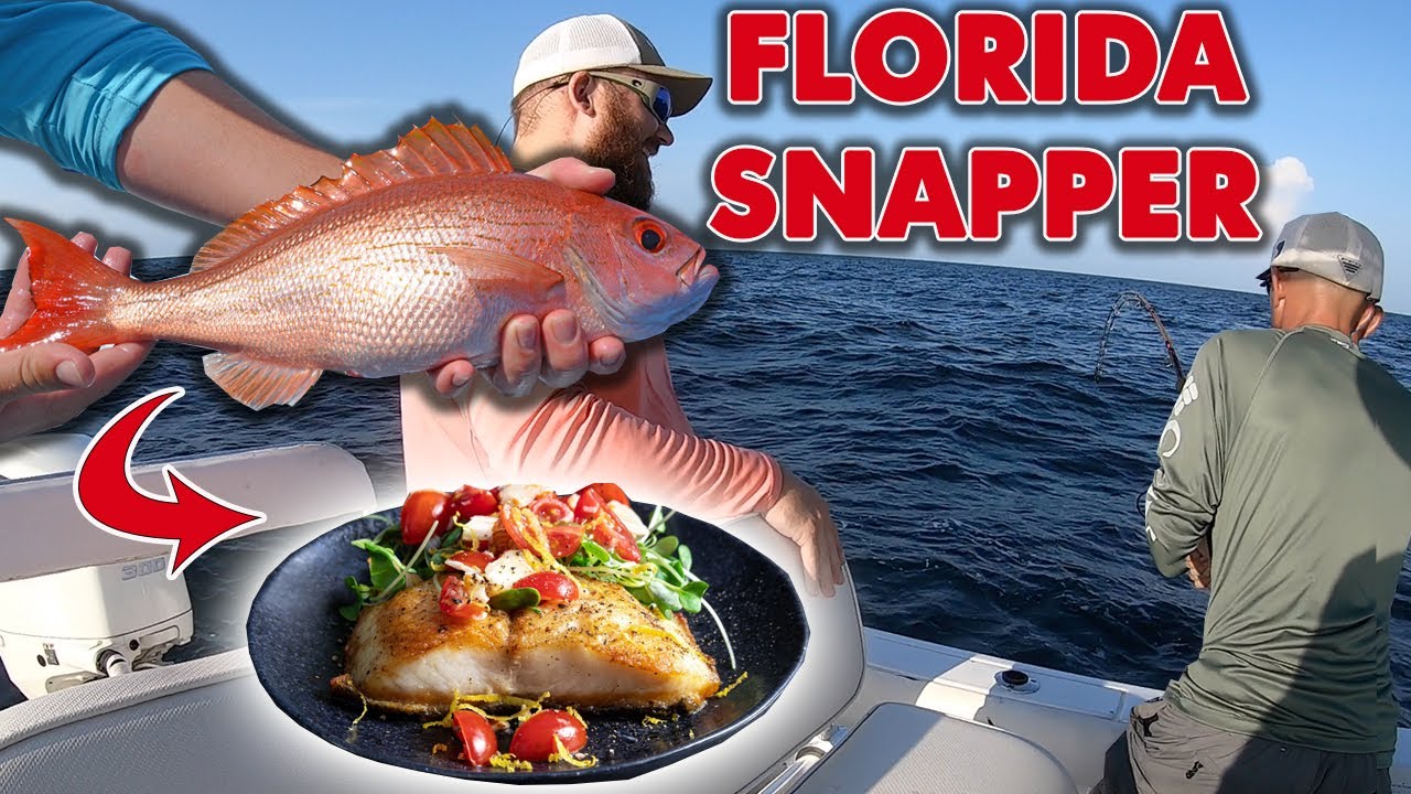 Fishing In PENSACOLA FLORIDA Snapper Catch And Cook YouTube fishing-in-pensacola-florida-snapper-catch-and-cook-youtube