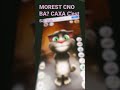 talking tom Poor but Still a #cutecat #shorts