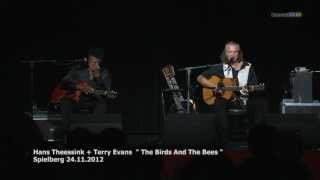 Hans Theessink und Terry Evans  "The Birds And The Bees" chords