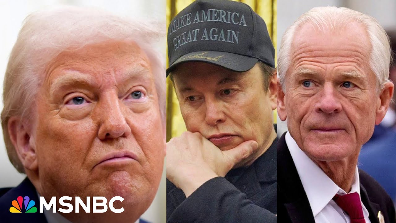 'Moron': Musk slams trade adviser Navarro as Trump tariffs steer 'economy  into iceberg,' expert says