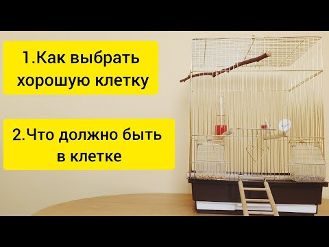 Что должно быть в клетке у попугая || Как выбрать клетку для попугая