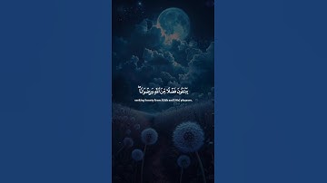 اكتب شيء تؤجر عليه 😴🤍 القارئ ياسر الدوسري
