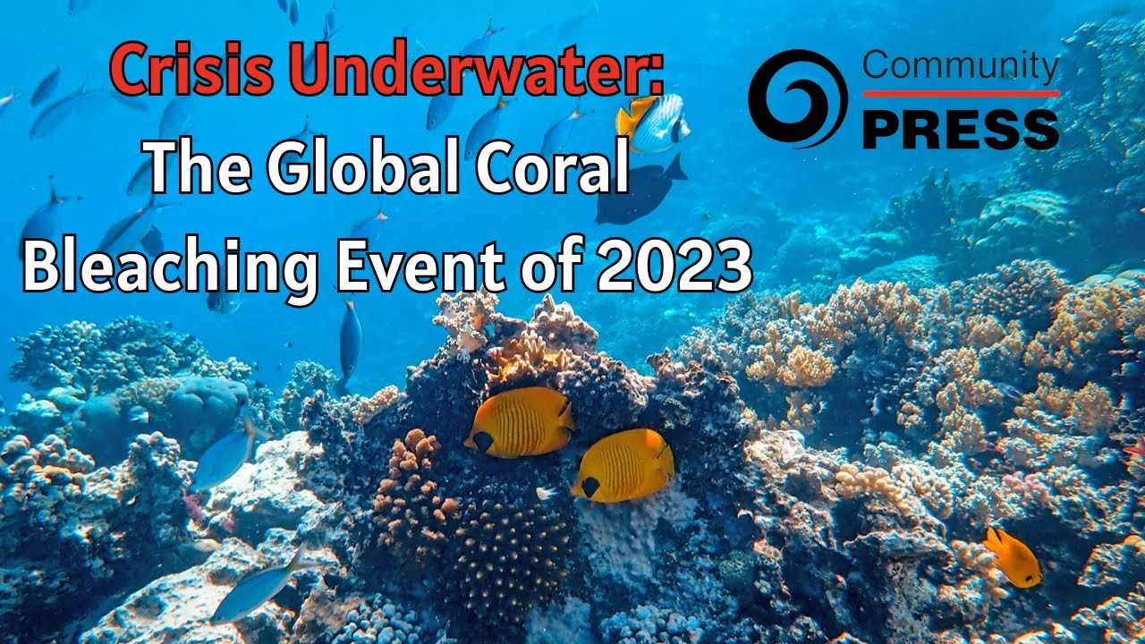 Crisis Underwater: The Global Coral Bleaching Event of 2023 - YouTube