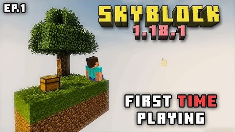 FIRST TIME PLAYING SKYBLOCK MAP IN MINECRAFT | Minecraft 1.18.1 Java Edition | EP.1