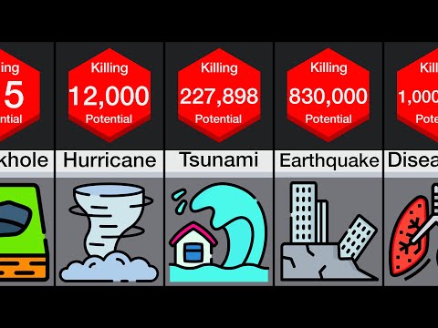 Video: What is the difference between a catastrophe and an accident: determining the scale of a disaster