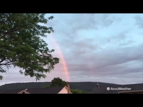 The science behind rainbows, explained by Krissy P!