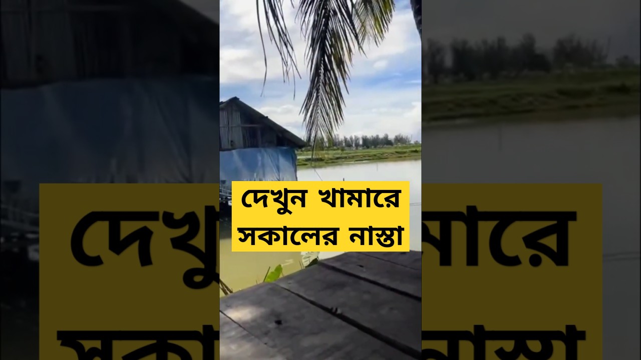 Traditional Bangladeshi Village Breakfast at the Farm | Peaceful Morning with Nature 