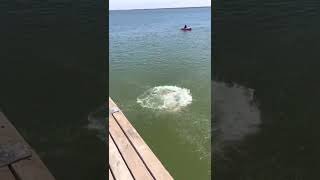 Backflip off Lake Bonney jetty