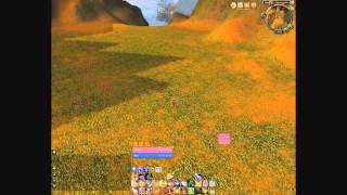 WoW PvP Guide: Rank One Gladiator Holy Paladin Koshimo - Macros UI & Addons