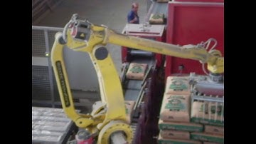 Robotic Cement Bag Palletising