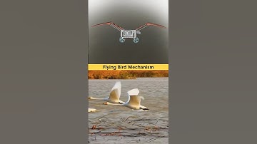 Mechanical Mechanism for Flying Bird 🦢 #cad #3ddesign #solidworks #cadcam #tutorial #learning #3d