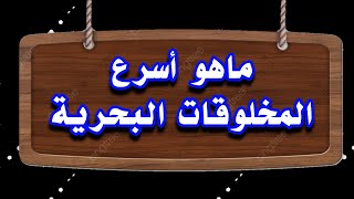 #تحدي_المعلومات_والألغاز  || ماهو اسرع المخلوقات البحرية ؟ #شغل_مخك ×30 ثانية#