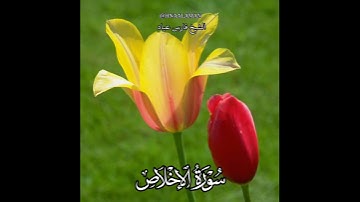 سورة الإخلاص | الشيخ فارس عباد حالات واتساب تلاوه خاشعه ❤️