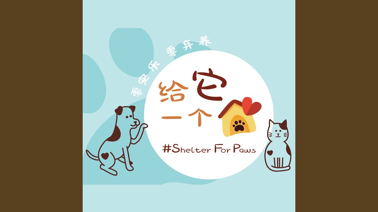 在 YouTube 上观看 给它一个家