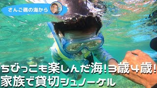 3歳4歳！ちびっこも楽しんだ石垣島の海！家族で貸切シュノーケル