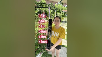 Zalo 0868732574. Cần câu cấm gốc Seaboat fuji siêu khoẽ