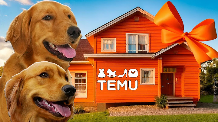 I Bought My Dogs a House from TEMU!