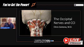 The Occipital Nerves, CCI, and Headaches: How is This Problem Diagnosed and What Can Be Done?