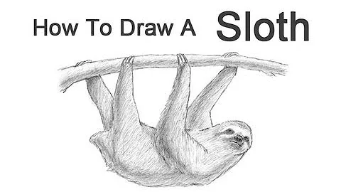 How to Draw a Sloth