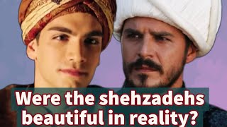 Were Shehzadeh Mehmet and Mustafa handsome in reality?