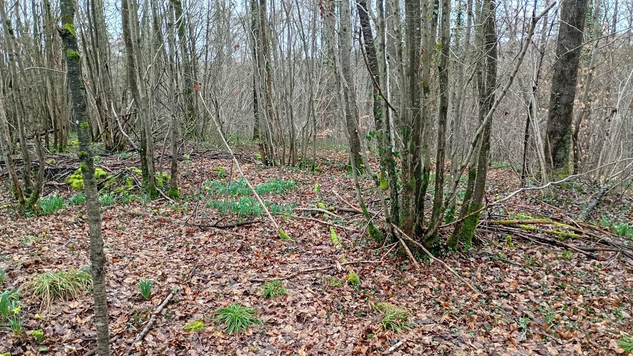 Journée moche et pluvieuse 24 Février 2026