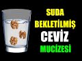 SUDA BEKLETİLMİŞ CEVİZ MUCİZESİ