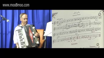 mooBmoo com Accordion E023