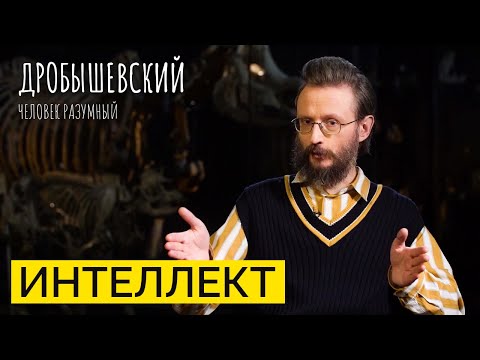 Генетика или среда: что определяет интеллект // Дробышевский. Человек разумный