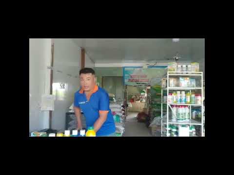 sản phẩm BreTil super 300SC , đặc trị lem lép hạt 2023 mới nhất sản phẩm BreTil super 300SC , đặc trị lem lép hạt 2023 mới nhất
