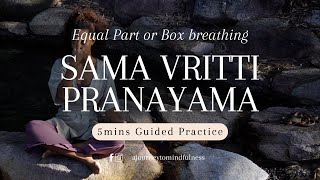 5-Minute Guided Sama Vritti Breathing for Calm & Balance | Moon Channel Pranayama