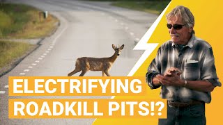 Why Electrify Roadkill Pits?