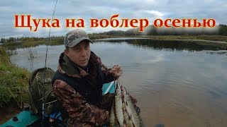 Щука на воблер осенью. Река Хотча