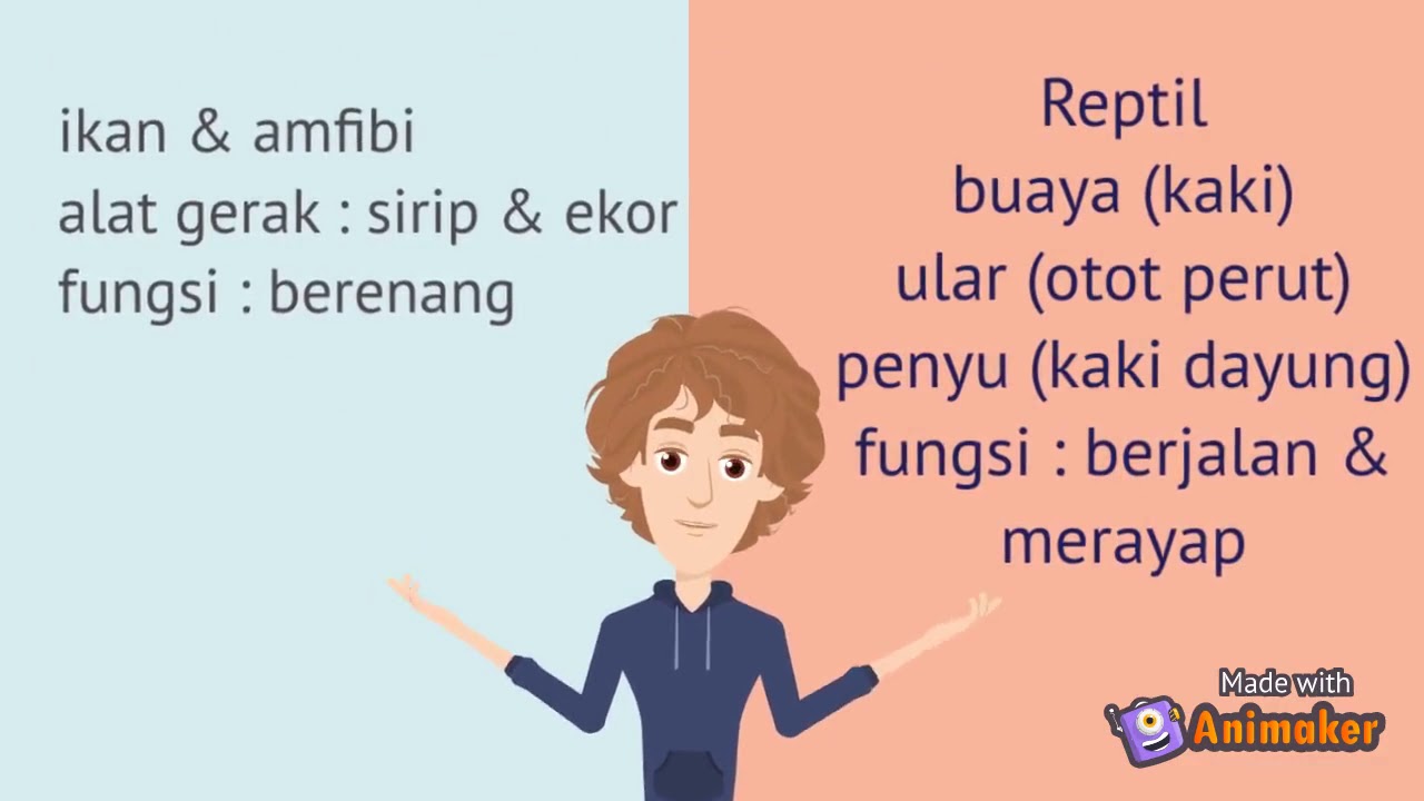  Organ  Gerak  Hewan  Materi Tematik Kelas 5 Tema 1 