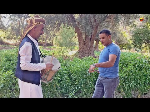        2021 شاب شاكر شيفور مول الكار