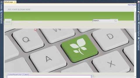 8 AspNet   MasterPage and FindControl