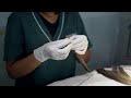 Imping on a black kite | RESQ Wildlife, Pune 2023