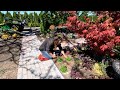 Planting Potatoes &amp; A Bunch of Groundcovers! 🥔🌿😁 // Garden Answer